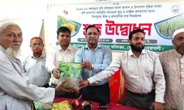 বেগমগঞ্জে ক্ষুদ্র ও প্রান্তিক কৃষকদের মাঝে বিনামূল্যে বীজ ও সার বিতরণ