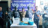 হাতিয়ায় মধ্যরাতে কোস্ট গার্ড–পুলিশের যৌথ অভিযান গাঁজা–ইয়াবাসহ আটক ১