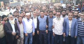 সেনবাগে ধানের র্শীষের পক্ষে যুবদলের মিছিল সমাবেশ