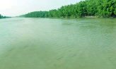 সুন্দরবনে দস্যুরা মাথাচাড়া দিচ্ছে- দ্রুত ব্যবস্থা নিতে হবে