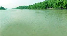 সুন্দরবনে দস্যুরা মাথাচাড়া দিচ্ছে- দ্রুত ব্যবস্থা নিতে হবে