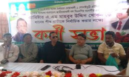 নোয়াখালী-১ সোনাইমুড়ীর জনস্রোতে ‘গণতন্ত্র পুনরুদ্ধারে’ খোকনের শপথ