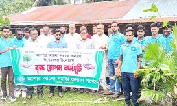 সুবর্ণচরে আশার আলো সমাজ কল্যাণ সংগঠনের বৃক্ষরোপন কর্মসূচি