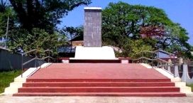 ফেনী পাক-হানাদার মুক্ত দিবস উদযাপন