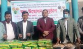 টেকসই কৃষির মান উন্নয়নে সুবর্ণচরে কৃষকদের মাঝে বীজ ও সার বিতরণ