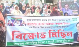 নোয়াখালী-৫ আসনের ধানের শীষ প্রার্থীর বিরুদ্ধে মিথ্যা মামলার প্রতিবাদে মহিলা দলের বিক্ষোভ