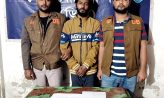অস্ত্র মামলা সহ একাধিক মামলার আসামি ১০০ পিস ইয়াবা সহ আটক