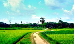 প্রকৃতির ন্যায়ের অমোঘ প্রতিফলন- রাজু আহমেদ