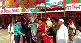 সেনবাগে নানা আয়োজনে মহান বিজয় দিবস উদযাপিত