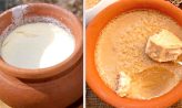 ভারী খাবারের পর মিষ্টি নাকি টক দই ভালো