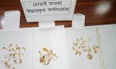 নোয়াখালী সুপার মার্কেটে স্বর্ণ চুরির ঘটনায় স্বামী-স্ত্রীসহ আটক ৩
