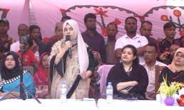 নোয়াখালী-৪ আসনে ধানের শীষের পক্ষে একাট্টা নারীরা