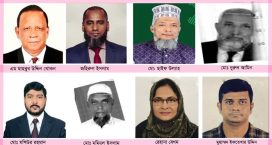 নোয়াখালী-১ আসনে অভিজ্ঞ খোকনের সামনে নতুন চ্যালেঞ্জ