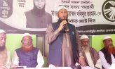 সেনবাগে ইসলামী আন্দোলন বাংলাদেশ হাতপাখার প্রার্থীর সংবাদ সম্মেলন