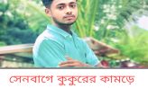 সেনবাগে কুকুরের কামড়ে স্বেচ্ছাসেবক দল নেতার মৃত্যু