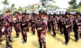 ত্রয়োদশ জাতীয় সংসদ নির্বাচন জেলাজুড়ে ১৬ প্লাটুন বিজিবি মোতায়েন