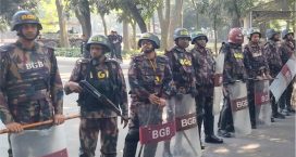 যমুনার নিরাপত্তায় ৬ প্লাটুন বিজিবি মোতায়েন