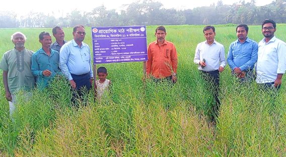 সুবর্ণচরে সুপেয় পানির সংকট মোকাবিলায় বোরোর বদলে সরিষা চাষ শুরু
