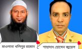 নোয়াখালী-২ জামানত হারালেন হাত-পাখা ও লাঙ্গল প্রতিকের ২ প্রার্থী