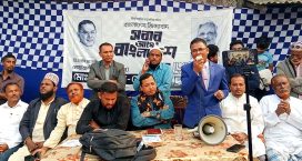 সদর উপজেলায় ধানের শীষের পক্ষে মহিলা সমাবেশ
