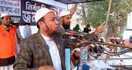 স্বাধীনতা পরবর্তী জনপ্রতিনিধিরা জনগনের মনের ভাষা বুঝতে ব্যর্থ হয়েছে: ফিরোজ আলম