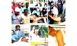 তারেক রহমানের সমীপে এক খোলা চিঠি – মোহাম্মদ হানিফ