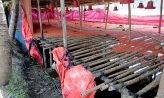 সোনাইমুড়ীতে পোল্ট্রি ফার্মে অগ্নিসংযোগ