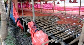সোনাইমুড়ীতে পোল্ট্রি ফার্মে অগ্নিসংযোগ