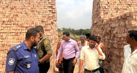 দাগনভূঞায় দুই ইটভাটাকে ২ লাখ টাকা জরিমানা