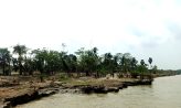 ভাঙনের আতঙ্কে নিঃস্ব হাতিয়া