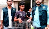 বন্য পাখি উদ্ধার করতে উপকূলীয় বন বিভাগের অভিযান