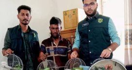 মাইজদীতে ঝটিকা অভিযানে ৩২ বন্যপাখি উদ্ধার, বিক্রেতাকে জরিমানা