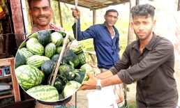 সুবর্ণচরে লাখ টাকার তরমুজ বিনামূল্যে বিলিয়ে দিলেন কালাম ব্যাপারি