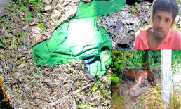 চাটখিলে এক যুবকের অর্ধগলিত মরদেহ উদ্ধার, এলাকায় চাঞ্চল্যের সৃষ্টি