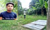 চাটখিলে সম্পত্তি দখলের চেষ্টা, ভাংচুর, লুটপাট ও গাছ কাটার অভিযোগ