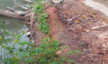 চাটখিলের খিলপাড়া ইটপুকুর পাড় দেলিয়াই সড়কের বেহাল দশা