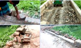 হাতের টানেই খুলছে ইট: সোনাইমুড়ীতে কোটি টাকার সড়ক নির্মাণে গুরুতর অনিয়ম