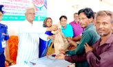সেনবাগে ক্ষুদ্র ও প্রান্তিক ২২ শত কৃষকদের মাঝে বিনামূল্যে আউশ ধান বীজ ও সার বিতরণ