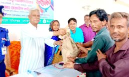 সেনবাগে ক্ষুদ্র ও প্রান্তিক ২২ শত কৃষকদের মাঝে বিনামূল্যে আউশ ধান বীজ ও সার বিতরণ