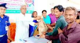 সেনবাগে ক্ষুদ্র ও প্রান্তিক ২২ শত কৃষকদের মাঝে বিনামূল্যে আউশ ধান বীজ ও সার বিতরণ