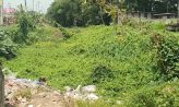 সেনবাগের বদু গাজী খালসহ ৩০টি খাল অবৈধভাবে দখল