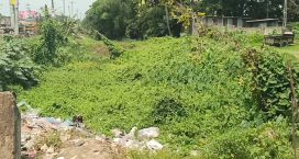 সেনবাগের বদু গাজী খালসহ ৩০টি খাল অবৈধভাবে দখল