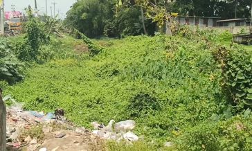 সেনবাগের বদু গাজী খালসহ ৩০টি খাল অবৈধভাবে দখল