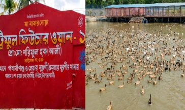 হাঁস-মুরগি পালন, ফলের বাগানসহ নানা পরিকল্পনা রয়েছে সুইডেন প্রবাসীর