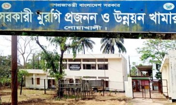 জনবল সংকটে সরকারি মুরগি প্রজনন ও উন্নয়ন খামার