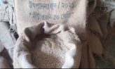 সোনাইমুড়ীতে খাদ্যবান্ধব কর্মসূচিতে নিম্নমানের চাল বিতরণের অভিযোগ