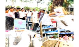 সরকারি কলেজে নাসীরুদ্দীন পাটওয়ারীর কুশপুত্তলিকায় জুতা নিক্ষেপ