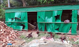 ​কোম্পানীগঞ্জে চাঁদা না দেওয়ায় প্রবাসীর বাড়ি নির্মাণে হামলা ও ভাংচুর, আহত ৪