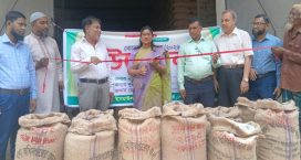 সোনাইমুড়ীতে কৃষকের গোলা থেকেই সরকারি ধান সংগ্রহ শুরু