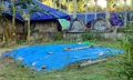 ১ বছরেও পর্তুগালের নাগরিক তাহেরা হত্যা মামলার রহস্য উদঘাটন হয়নি
